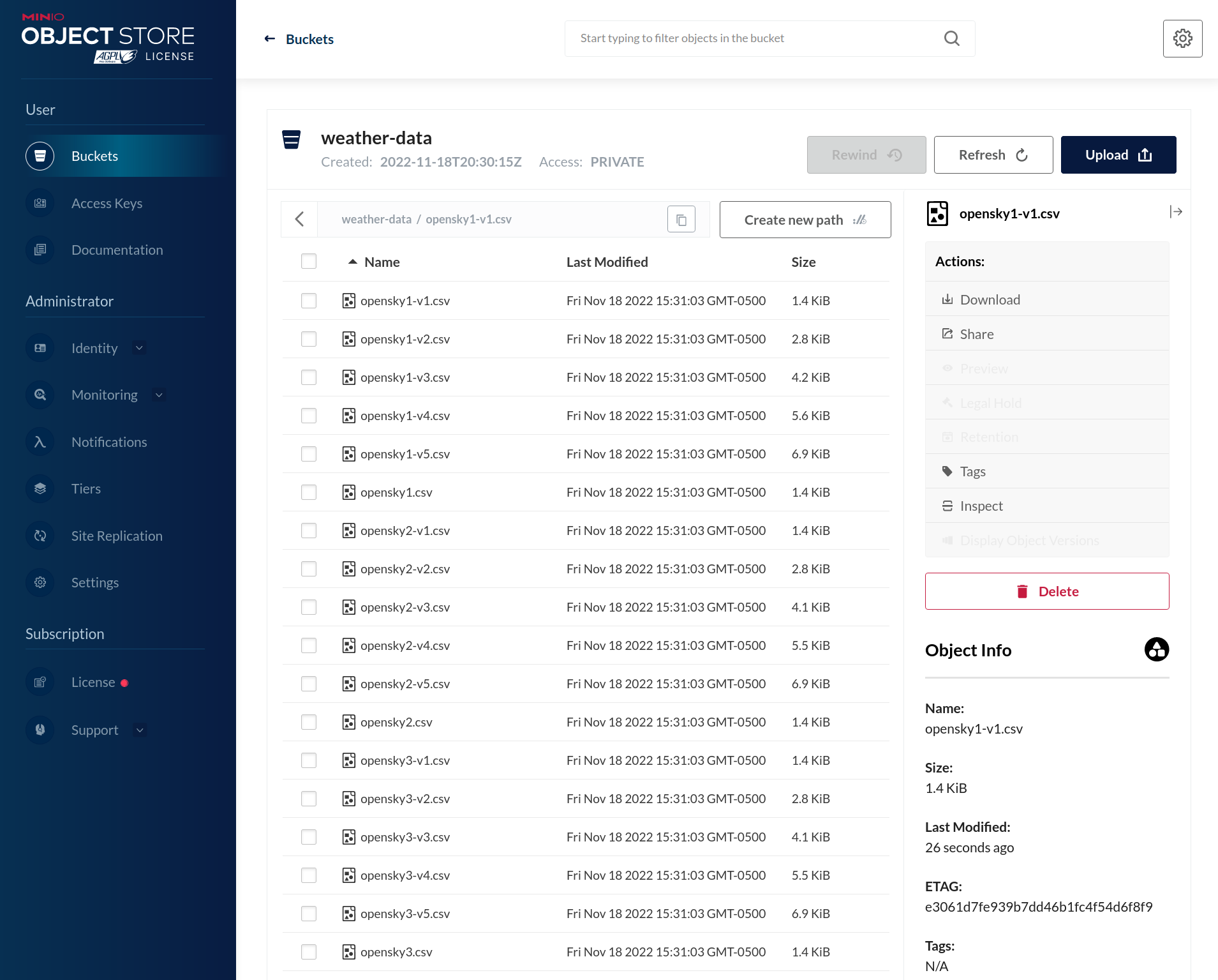 MinIO Console Bucket Object Browser